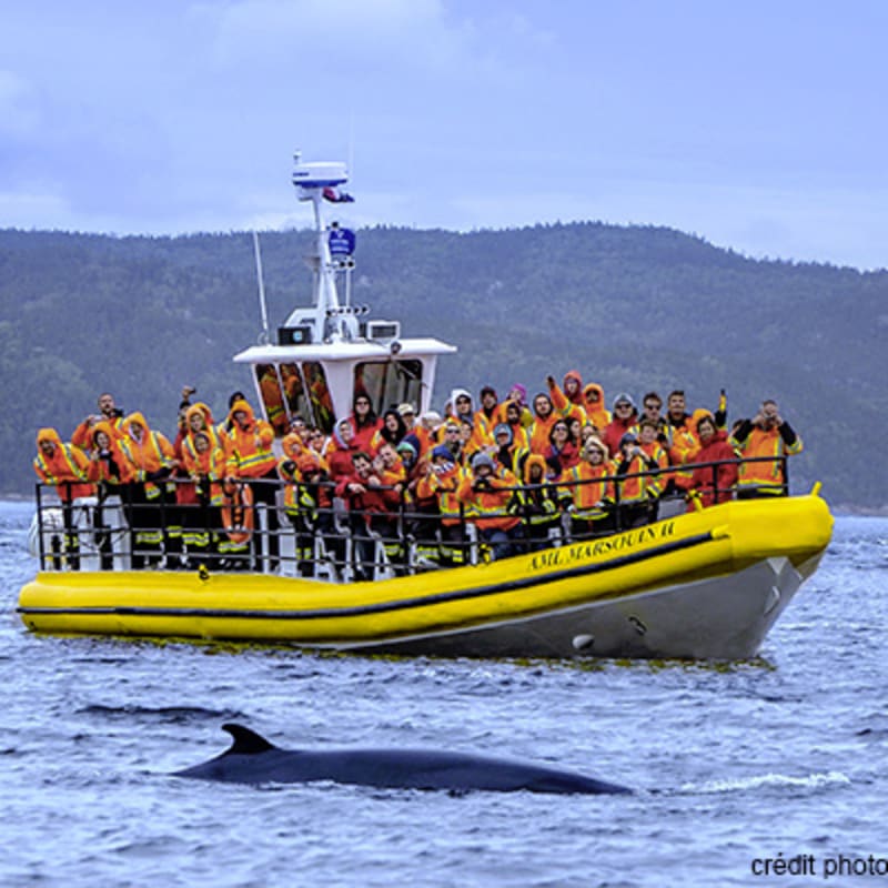 croisieres_aml_charlevoix_4