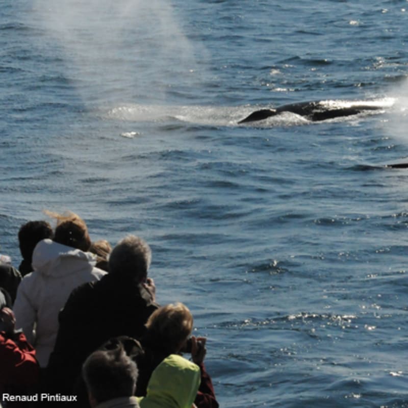 croisieres_aml_charlevoix_6