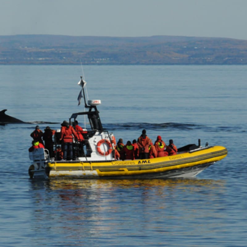 croisieres_aml_charlevoix_8