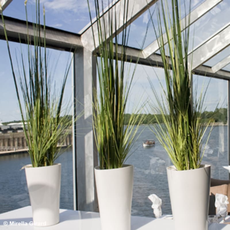 croisieres_aml_montreal_4