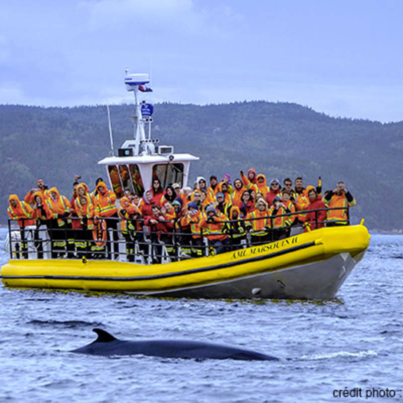 croisieres_aml_tadoussac_10