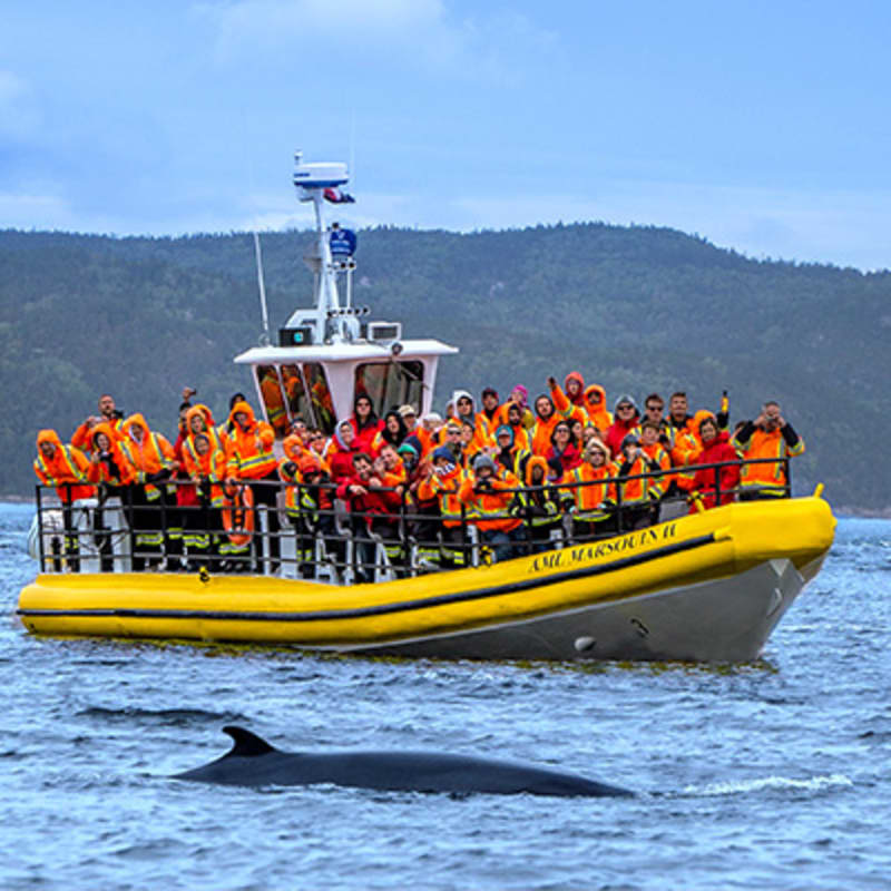 croisieres_aml_tadoussac_17