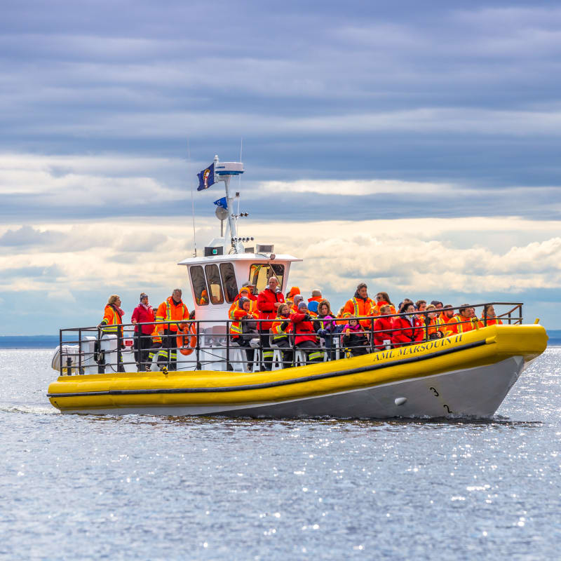 croisieres_aml_tadoussac_7
