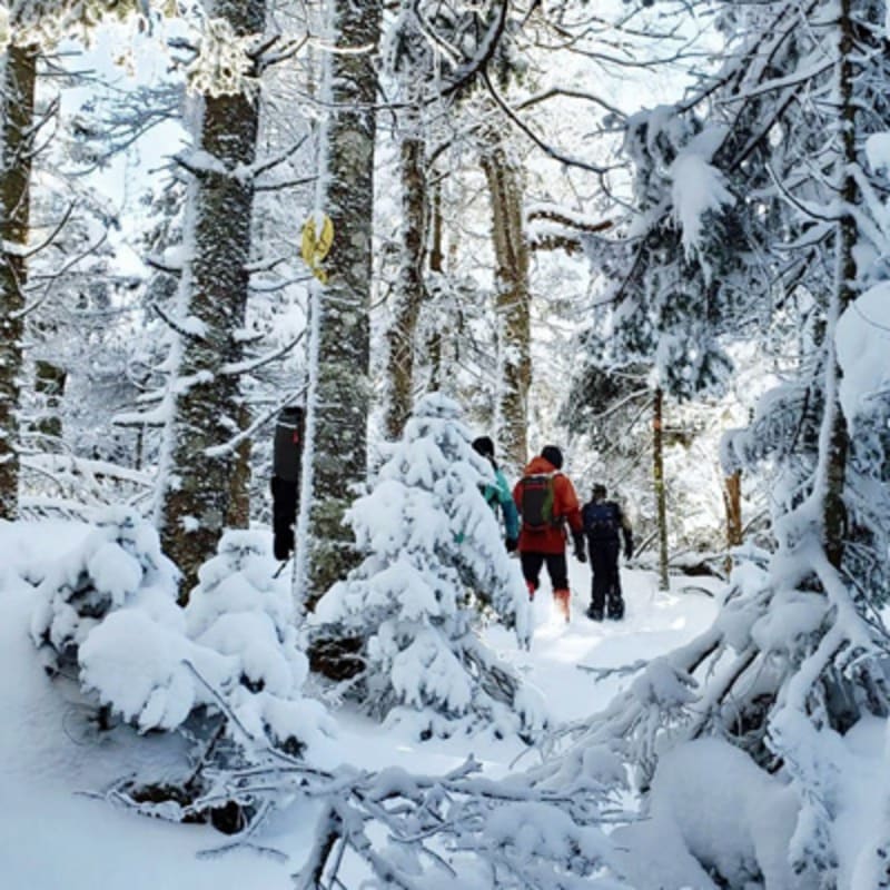 d_tour_tremblant_1_h