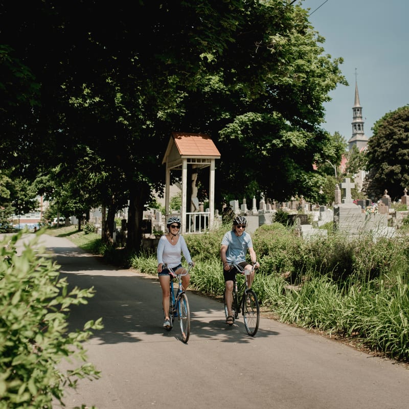 destination_region_lislet_9