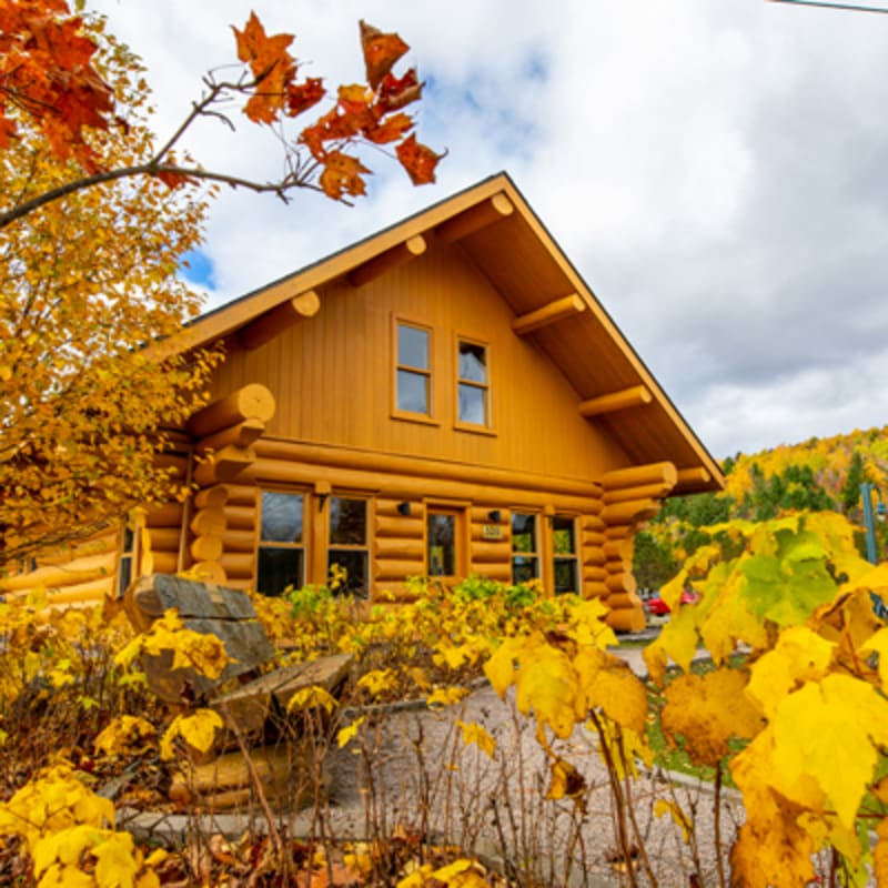 domaine_saint_bernard_1_a
