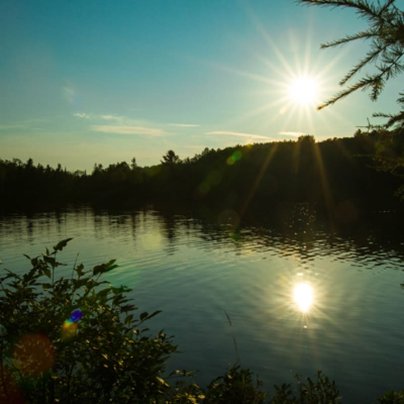 domaine_saint_bernard_3