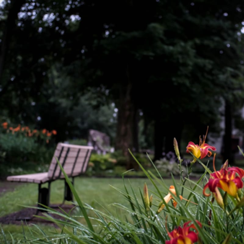 domaine_seigneurial_sainte_anne_4