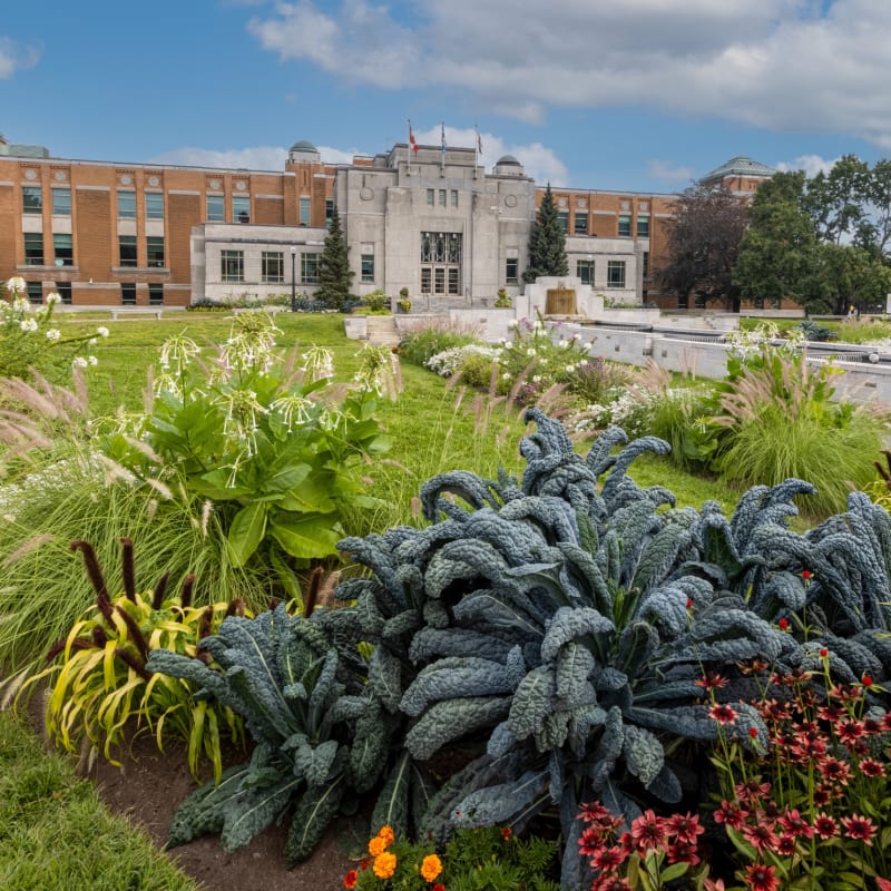 espace_pour_la_vie__jardin_botanique_de_montreal_6