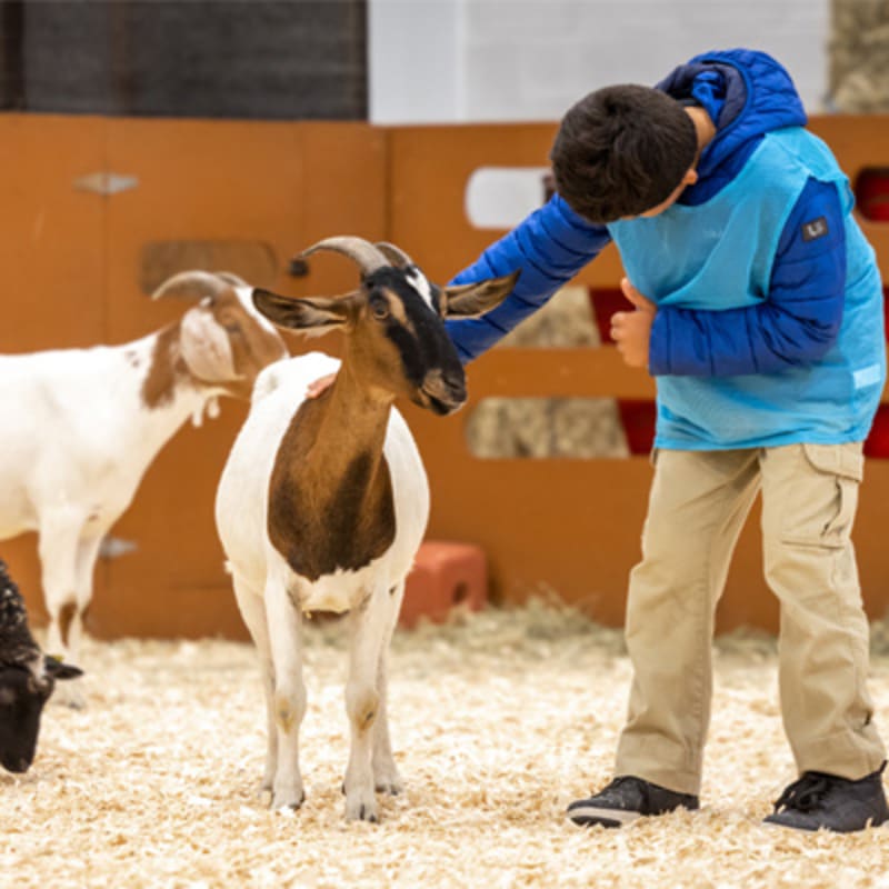 expo_agricole_de_saint_hyacinthe_13