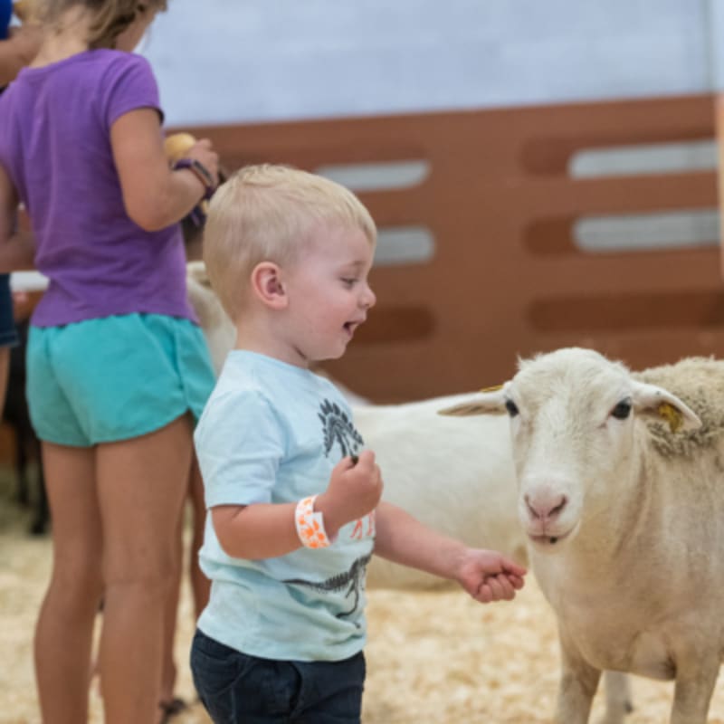 expo_agricole_de_saint_hyacinthe_3