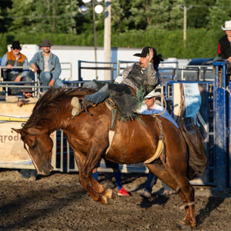 expo_agricole_de_saint_hyacinthe_6