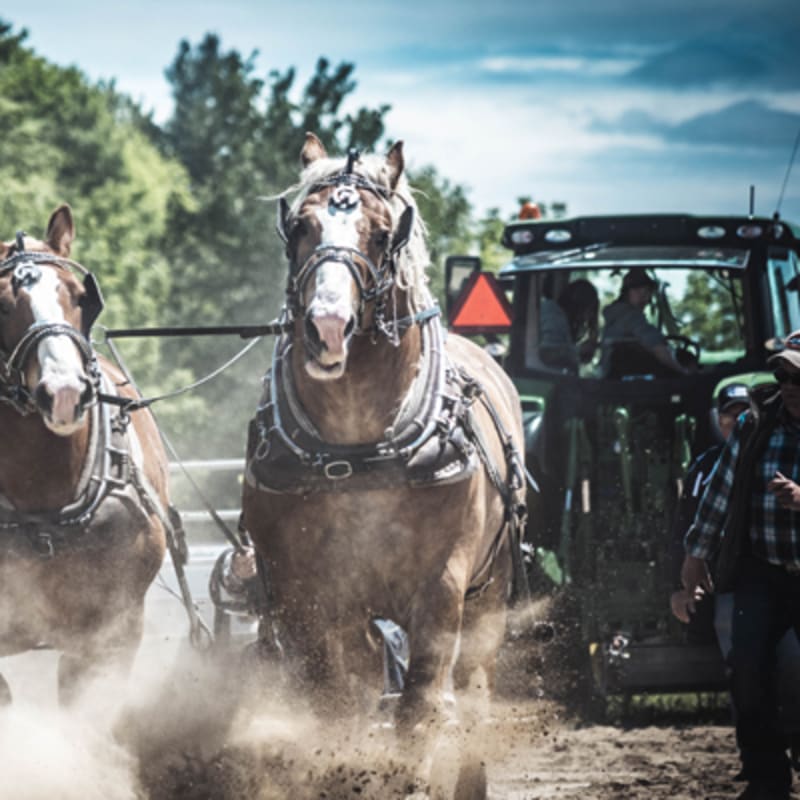 exposition_agricole_de_la_mrc_de_becancour_1