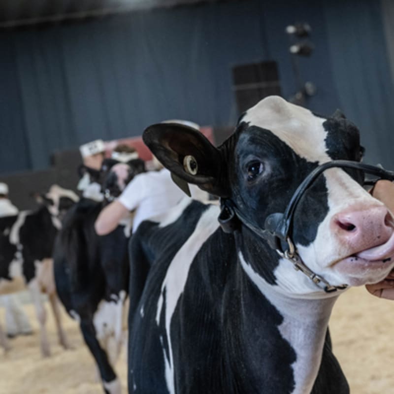 exposition_agricole_de_la_mrc_de_becancour_2