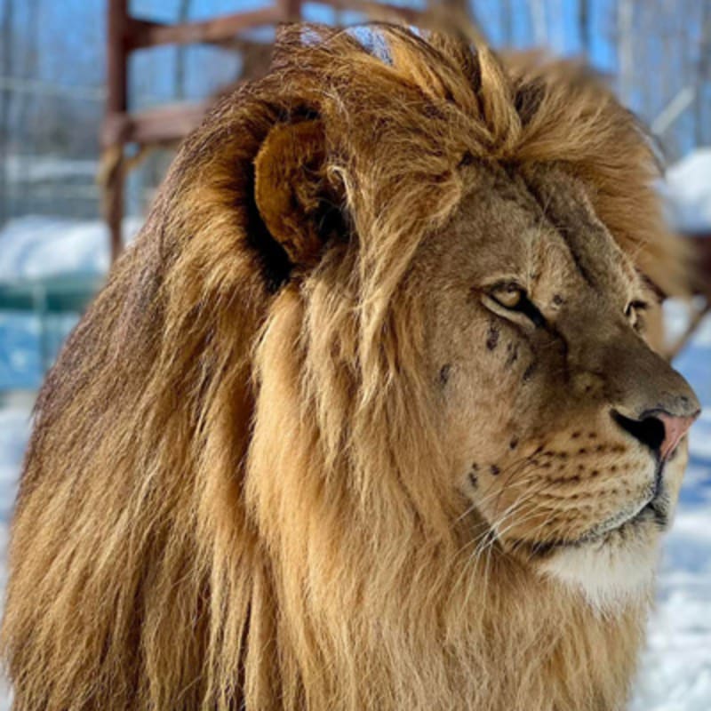 familizoo_2_h