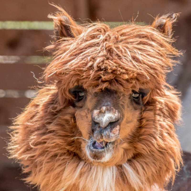 familizoo_4