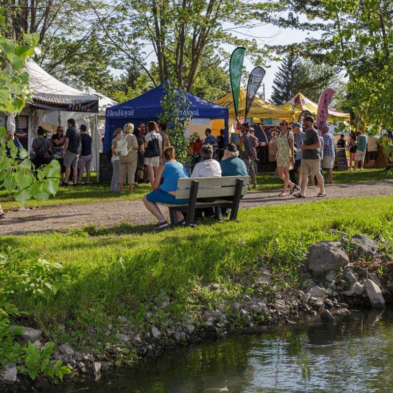 festival_bieres_vins__terroir_3