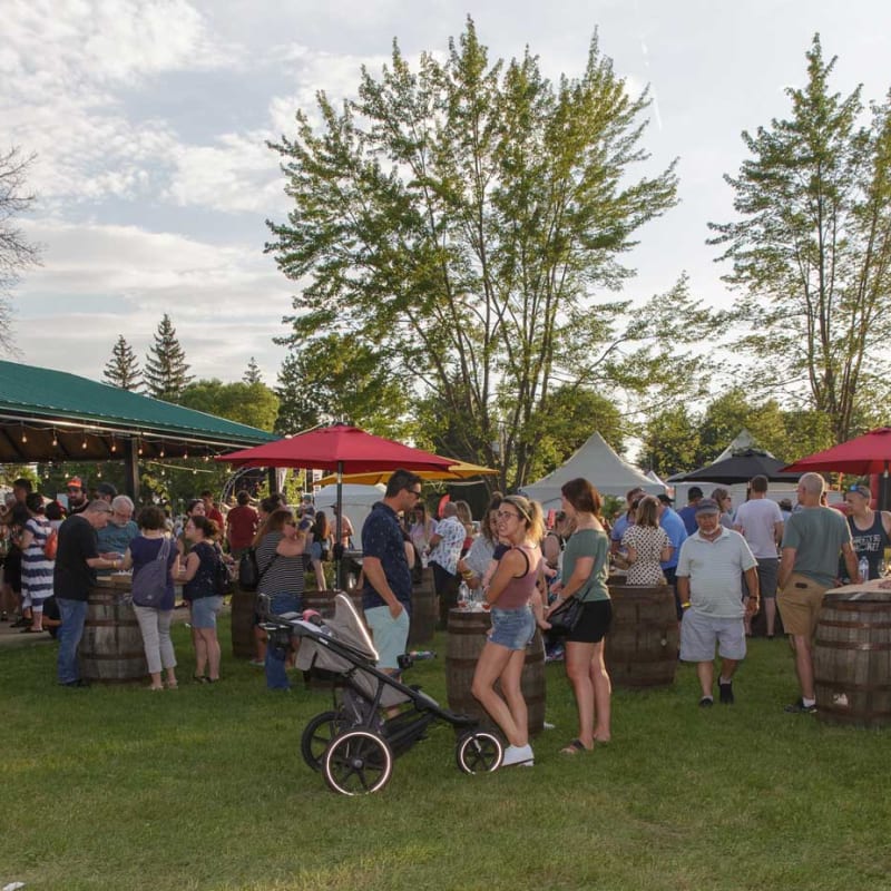 festival_bieres_vins__terroir_6