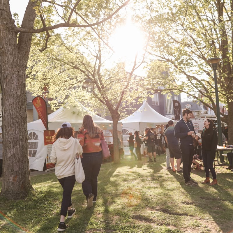 festival_bouffe_biere__boisson_11