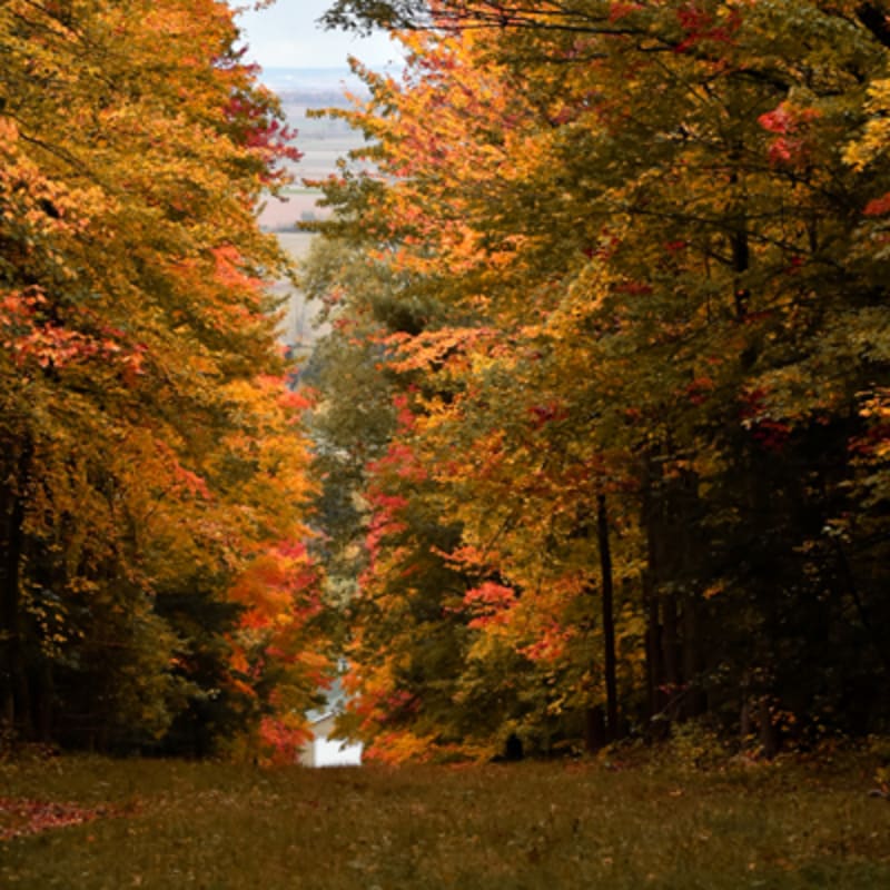 festival_des_couleurs_au_centre_de_ski_mont_rigaud_6