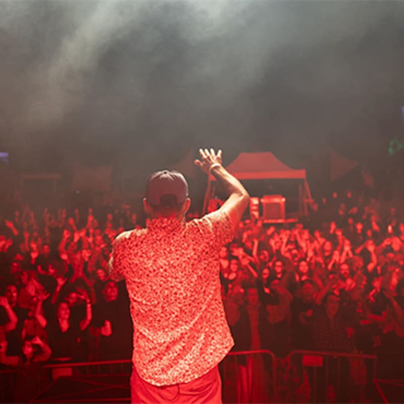 festival_focus_2