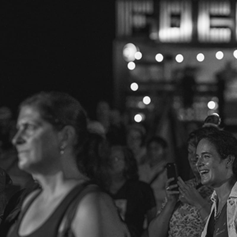 festival_focus_5