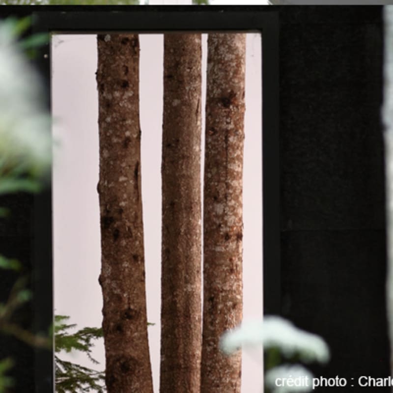 festival_international_de_jardins_2