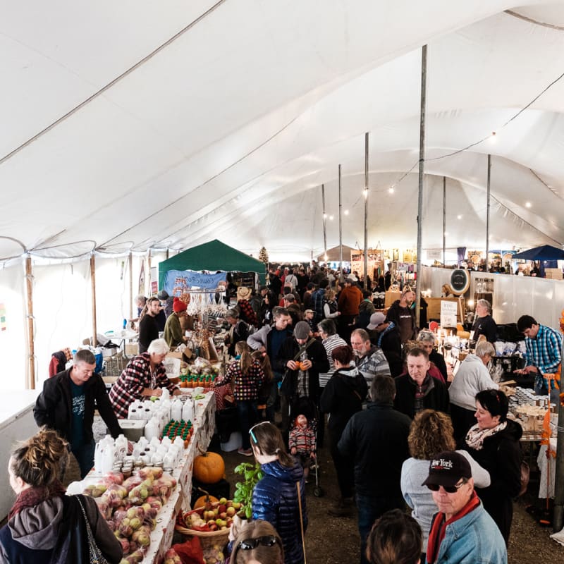festival_la_viree_4
