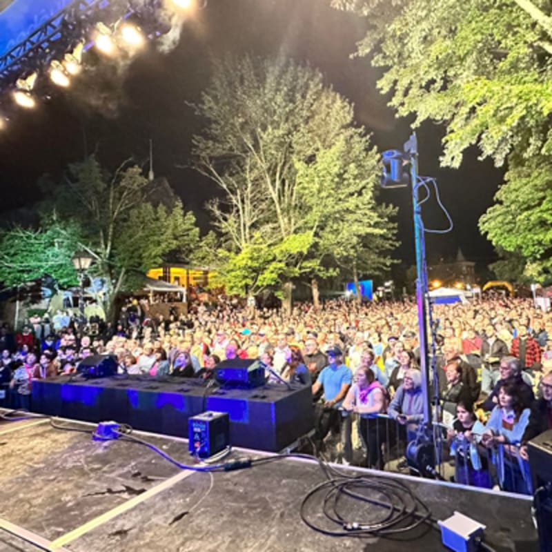 festival_promutuel_de_la_releve_de_thetford_mines_4