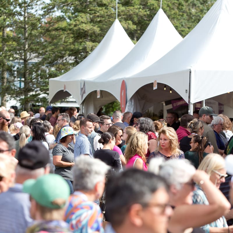 fete_des_vendanges_3