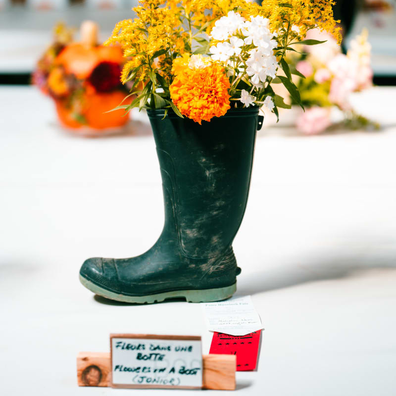 foire_de_havelock_3