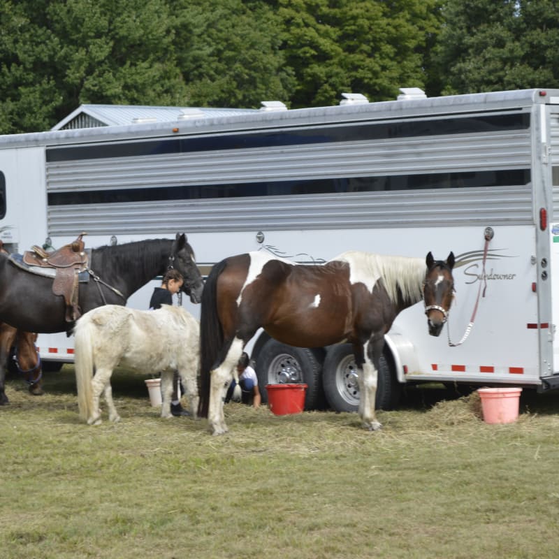 foire_de_havelock_4