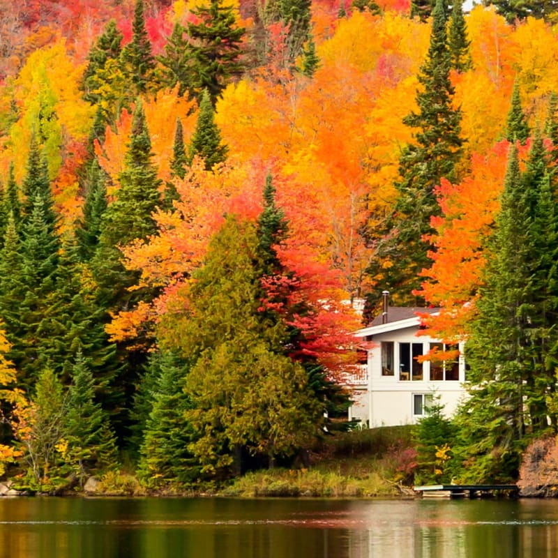 hebergia___club_lac_walfred_11