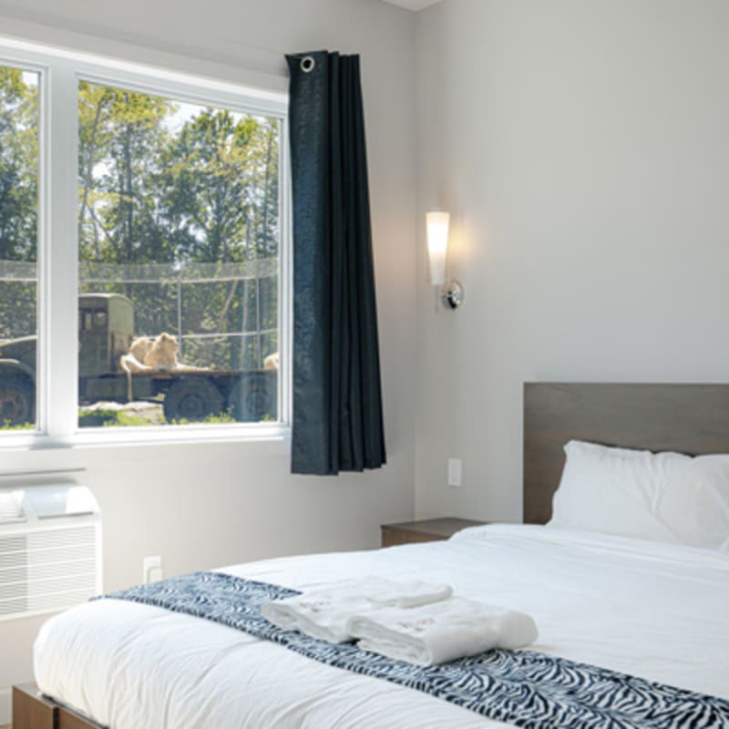 hotel_de_la_cite_perdue_1