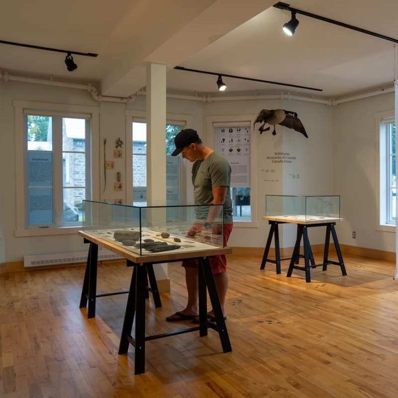 ici_au_centre_du_quebec_on_est_bien_place_pour_vous_etonner_12