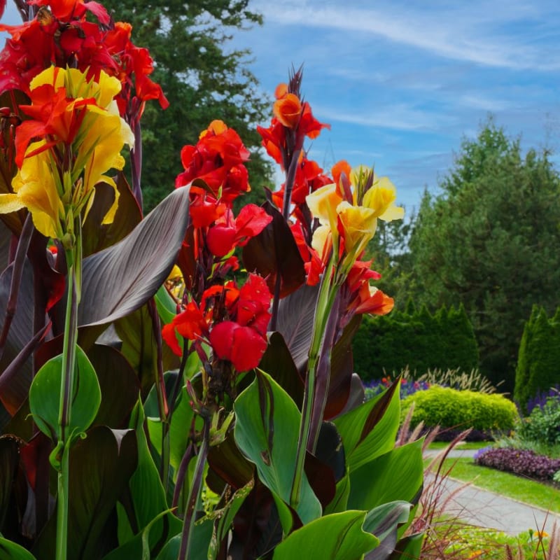 jardin_daniel_a_seguin_3