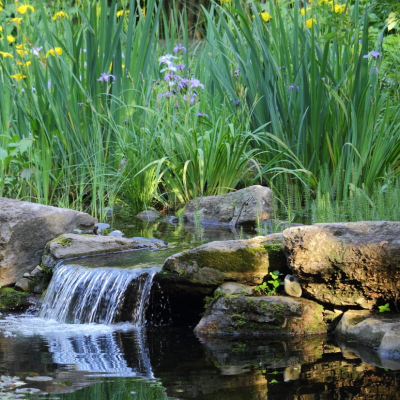 jardin_daniel_a_seguin_4