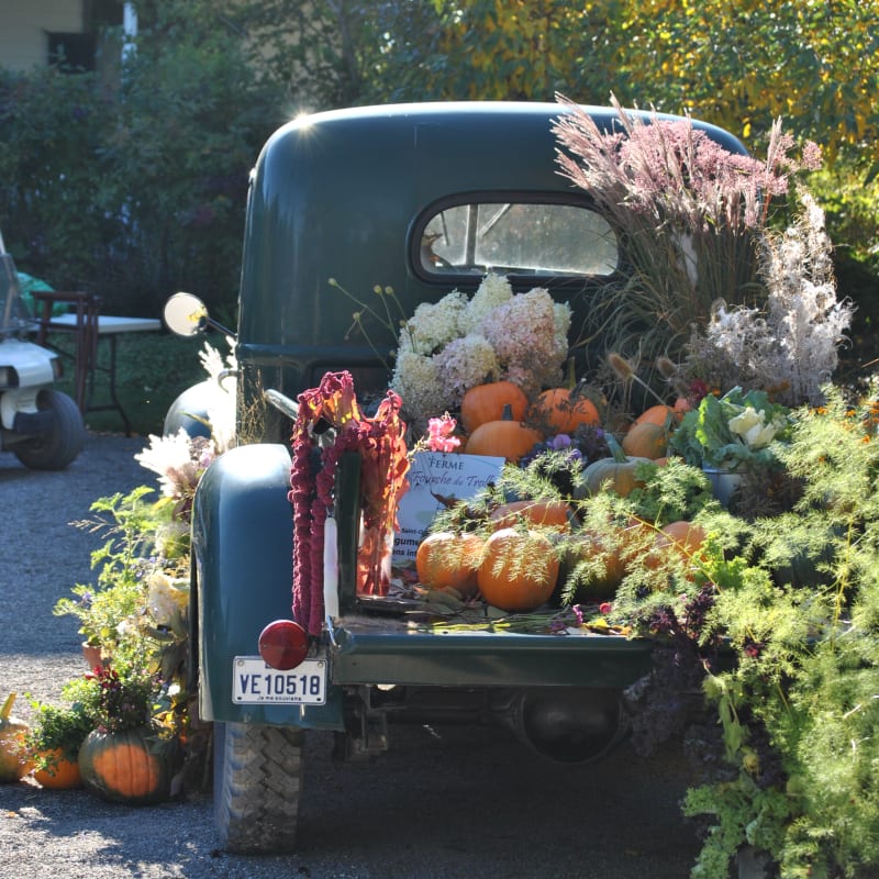 jardins_de_metis_15