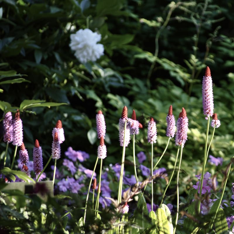 jardins_de_metis_17