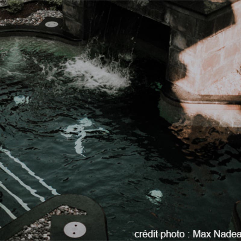 kinipi_spa__bains_nordiques_10