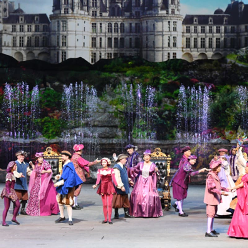 la_fabuleuse_histoire_dun_royaume_4