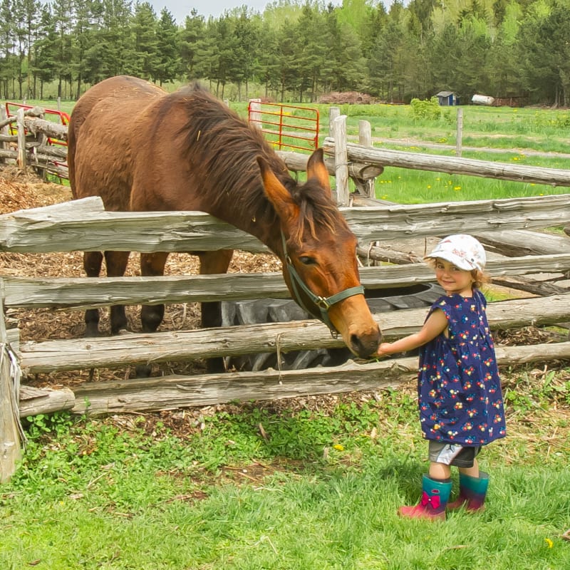 la_ferme_quinn_14
