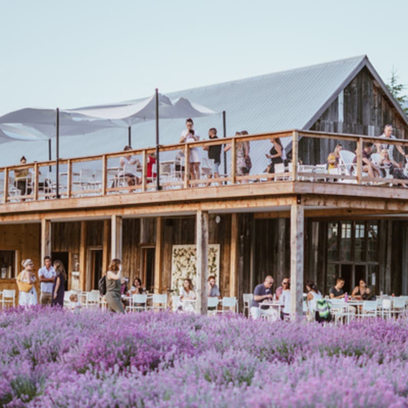 la_maison_lavande_culture_et_parfumerie_19