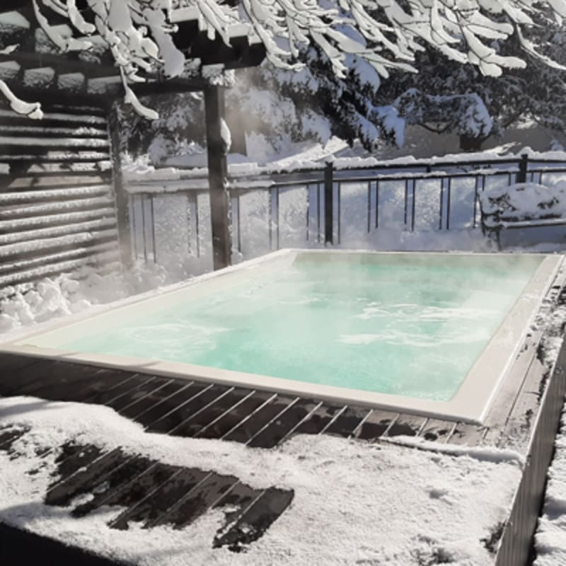 le_montagnard_hotel_condos__chalets_4_h