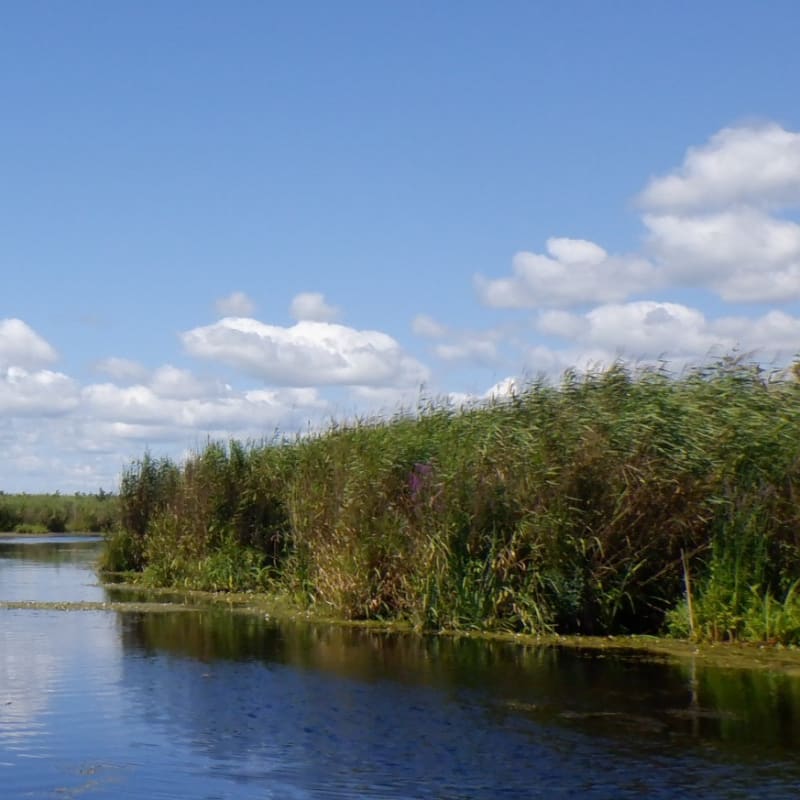 les_amis_de_la_reserve_nationale_de_faune_du_lac_saint_francois_2