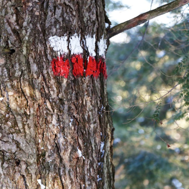 les_coteaux_missisquoi_6