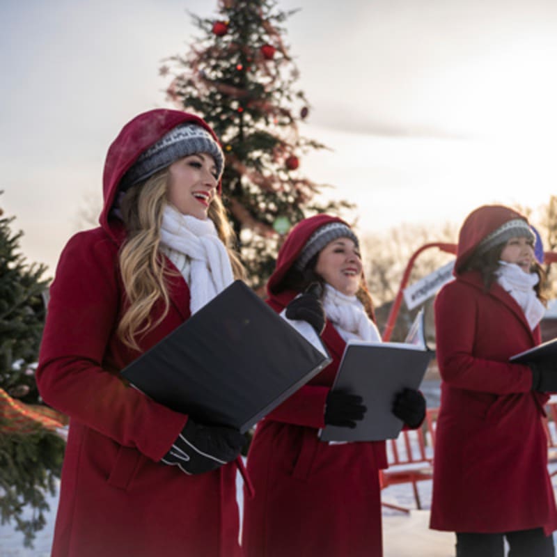 les_marches_de_noel_de_brome_missisquoi_1