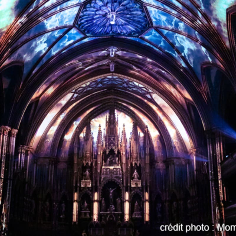 lexperience_aura_1