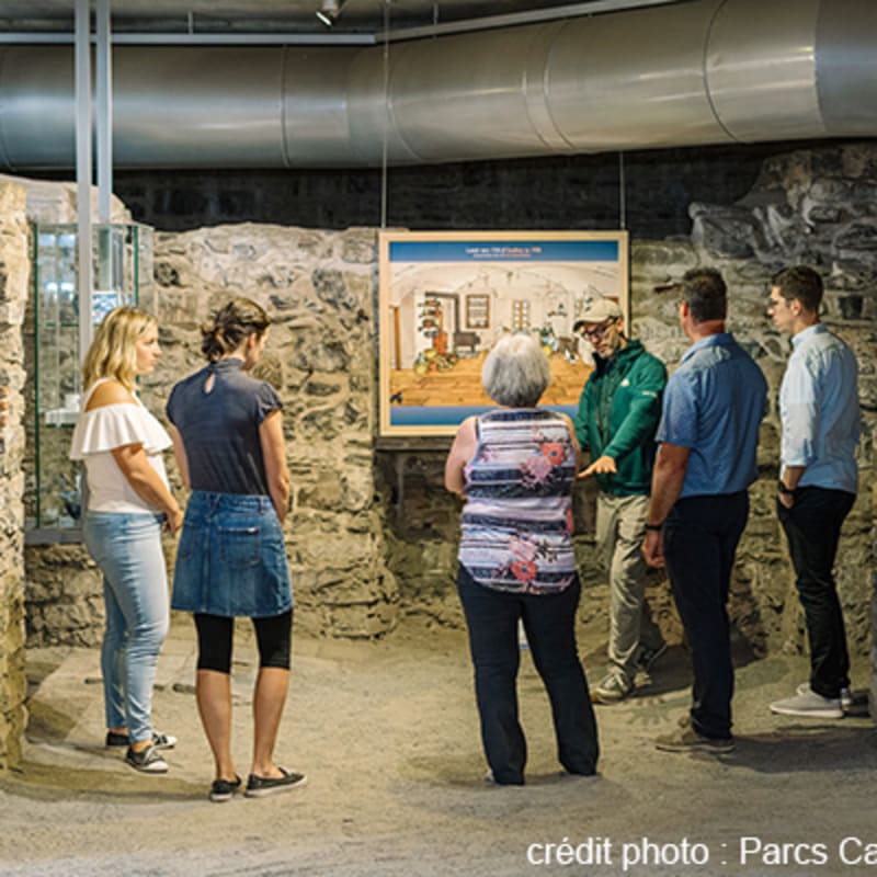 lieu_historique_national_des_forts_et_chateaux_saint_louis_5