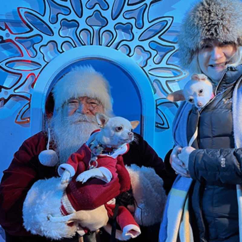 marche_de_noel_allemand_quebec_10